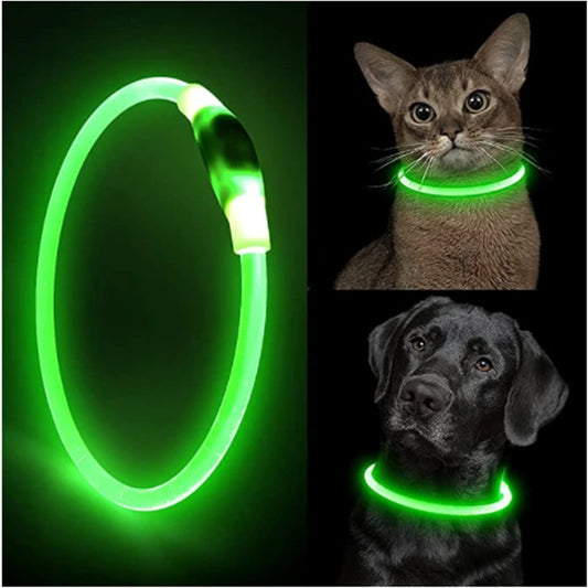 Bright Glow Dog Collar