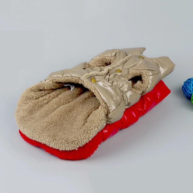 Cozy Dog Winter Jacket