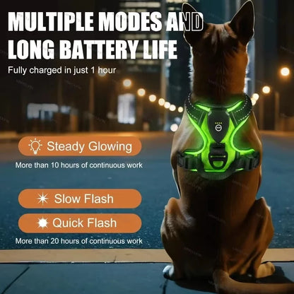 GlowSafe LED Dog Vest