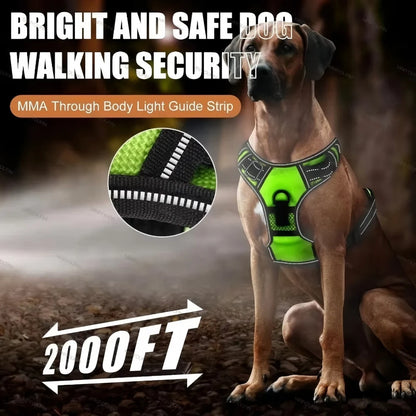 GlowSafe LED Dog Vest