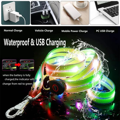 GlowGuard Night Walk Leash Pro