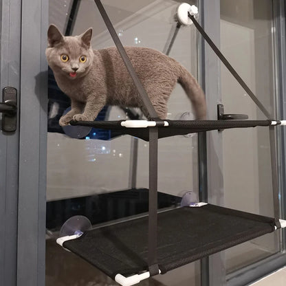 Sunny Cat Window Hammock