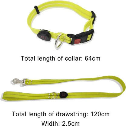 GlowGuard Night Walk Leash Pro