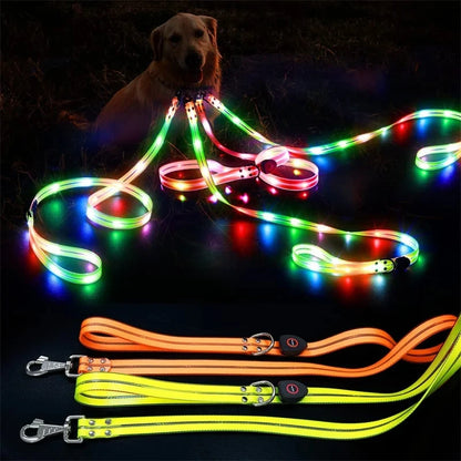 GlowGuard Night Walk Leash Pro