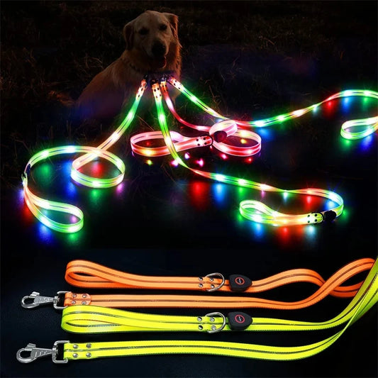 GlowGuard Night Walk Leash Pro