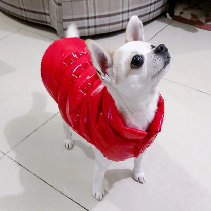 Cozy Dog Winter Jacket