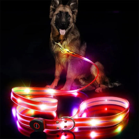 GlowGuard Night Walk Leash Pro