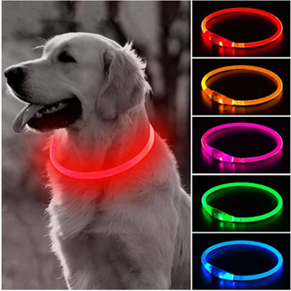 Bright Glow Dog Collar