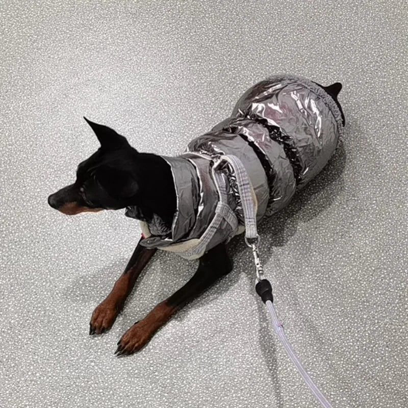 Cozy Dog Winter Jacket