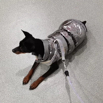 Cozy Dog Winter Jacket