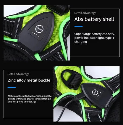 GlowSafe LED Dog Vest
