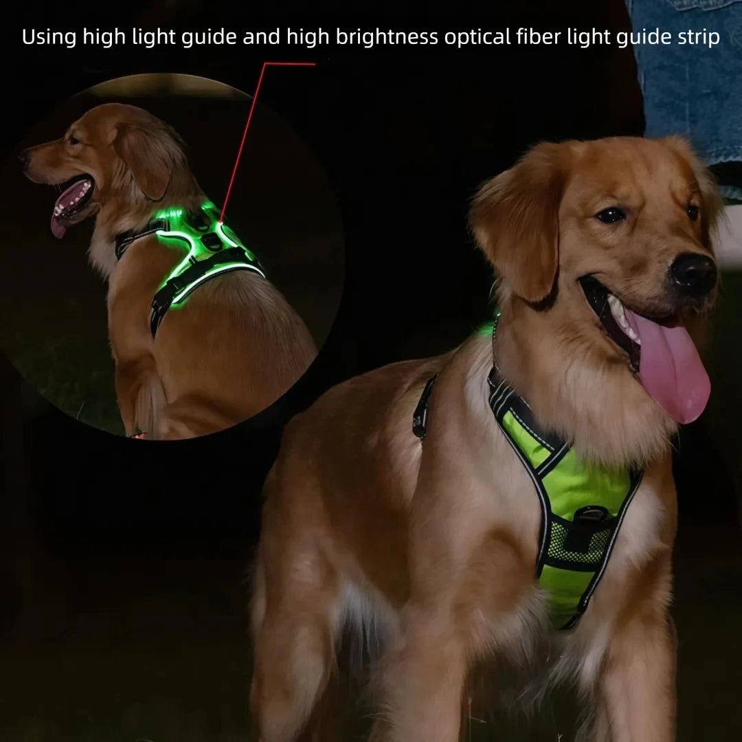 GlowSafe LED Dog Vest