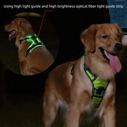 GlowSafe LED Dog Vest