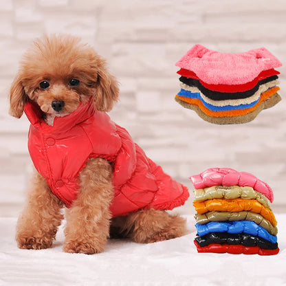 Cozy Dog Winter Jacket